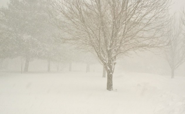 A Snowy Day in March - Video Link