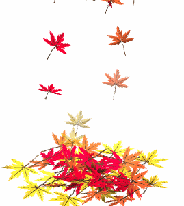 leaves_falling_in_pile